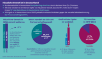 Grafik mit vier Charts zu häuslicher Gewalt in Deutschland